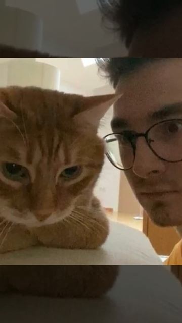 Эдит с Тигрой(❁´◡`❁) смотреть онлайн