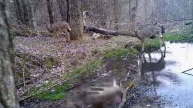 Я ржал долго.Супер прикол😂😂😂