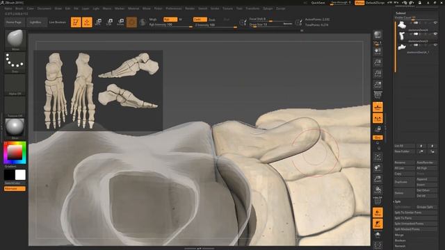 How to Sculpt skeleton Foot Bone in Zbrush _ (part 3) Anatomy Study Ep-5 _ Ch-24 смотреть онлайн