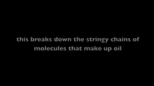 Miraculous Fungi (mushrooms as stewards of the earth) смотреть онлайн