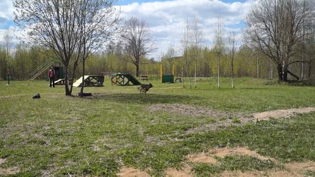 УДП "Новотор" Игорь Недбайло н.о. Ника лобовая атака смотреть онлайн