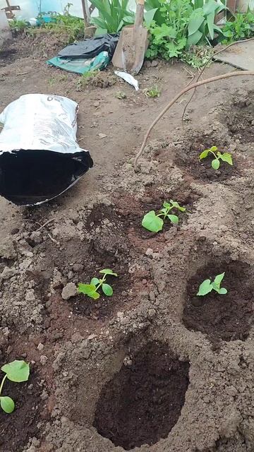 сегодня и год назад.