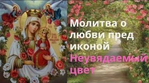 Молитва Пред Иконой Неувядаемый Цвет О Любви Красоте Замужестве Счастье В Семье Женском Здоровье🙏