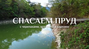 Пруд для рыбалки и купания, он кишит рыбой! Прилетели строить пруд в Сочи!