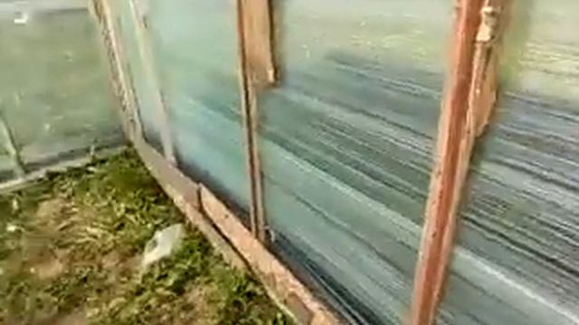 Парничок- тепличка за 300-500 рублей деревянных))) Или- строй-хлам по деревенски. смотреть онлайн