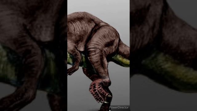Lo Que NECESITAS Saber SINRAPTOR #shorts смотреть онлайн