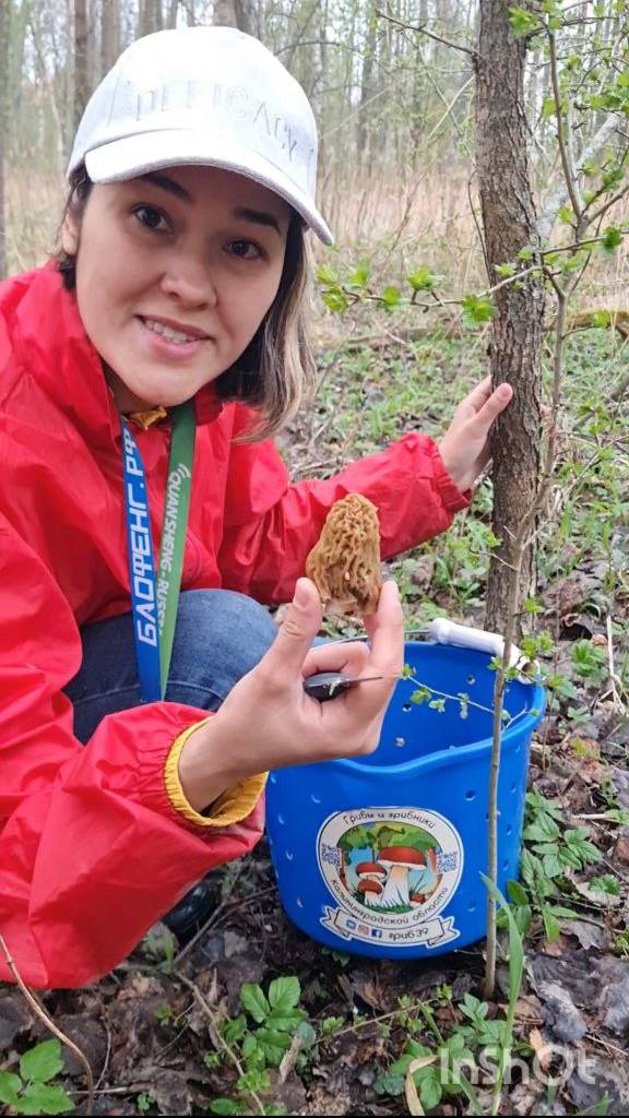 пришла весна 🔥 пошли грибы ‼️ СМОРЧКИ это вкусно, ГРИБНИКИ РЕКОМЕНДУЮТ ‼️ смотреть онлайн