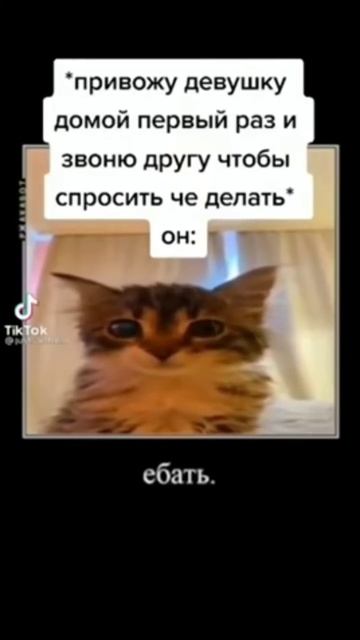 Мем смотреть онлайн