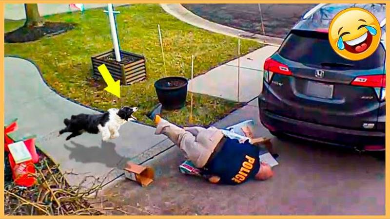 Лучшее смешное и неудачное видео 😂 Посмотрите это видео полностью и ПОПРОБУЙТЕ НЕ ЗАСМЕЯТЬСЯ смотреть онлайн