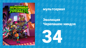 Эволюция Черепашек-ниндзя 1 сезон 34 серия «Мистическая библиотека» (мультсериал, 2018)