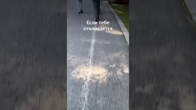 17 мая 2024 г. смотреть онлайн