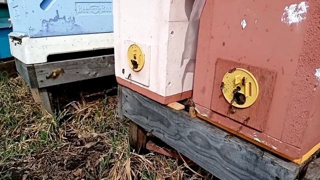 Так рано мы не стартовали смотреть онлайн