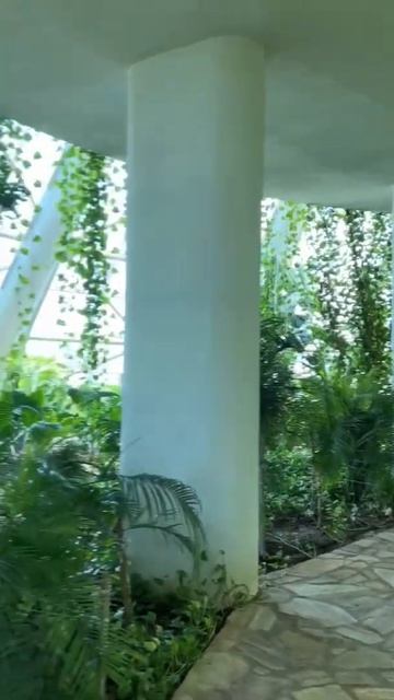 Безлюдная оранжерея Анталии на территории ЭКСПО, где не жарко смотреть онлайн