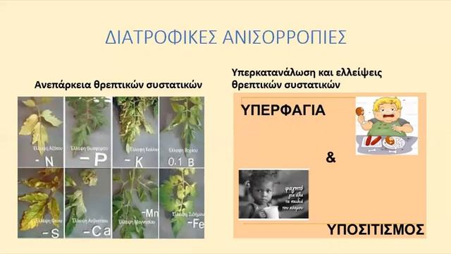 Αδυνάτισμα Δε θέλει κόπο θέλει Τρόπο με Προιόντα FLAVON από το Κέντρο Vivamus Ευεξίας & Βιοσυντο смотреть онлайн
