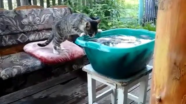 рыбаки мои смотреть онлайн