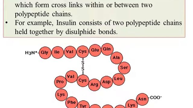 NEP-BCU-OE-MOLECULES OF LIFE-unit1-Amino acids, Peptides & Proteins-4-Structure of Proteins смотреть онлайн