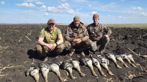 открытие охоты на гуся 2025. Саратовская область