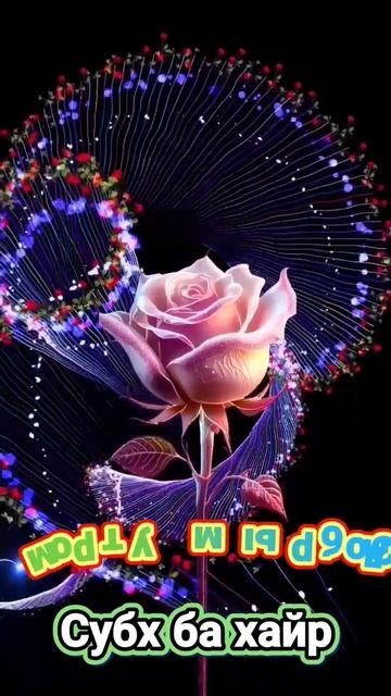 Субх ба хайр #shorst С добрым утром #shorst смотреть онлайн