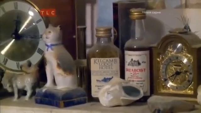 Помешанные на чистоте  Спасение особняков   1 выпуск