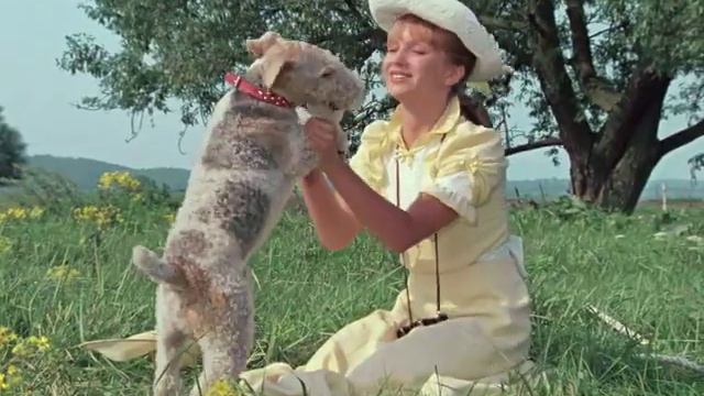 Вульгарный способ знакомства. "Трое в лодке , не считая собаки" #кино #фильм #фильмыдлявсейсемьи смотреть онлайн