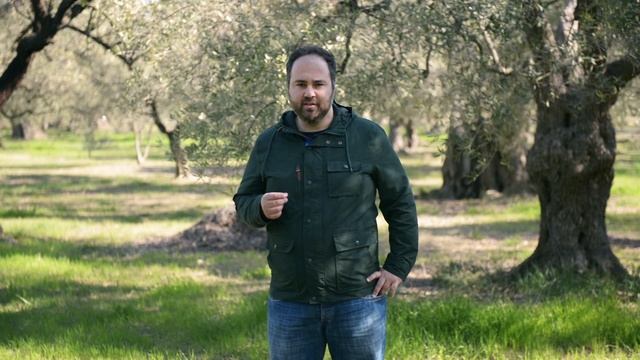 Meet A GROWer | Pavlos Georgiadis And His Ancient Olive Grove In Greece.