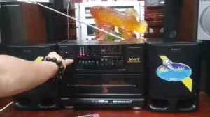 «Khủng» SONY CFS-RW280S, giá 3tr. Lh: 0915198889.