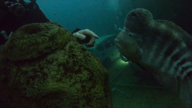 Tauchen TODI Belgien 7 MinutenFilm смотреть онлайн