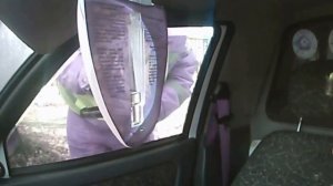 Гаи Макеевка не Пуганые Динозавры