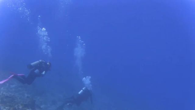San Salvador South Florida Divers by Millie смотреть онлайн