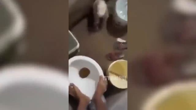 Я РЖАЛ ПОЛ ЧАСА / СМЕШНЫЕ ЖИВОТНЫЕ , КОТЫ СОБАКИ И ДРУГИЕ