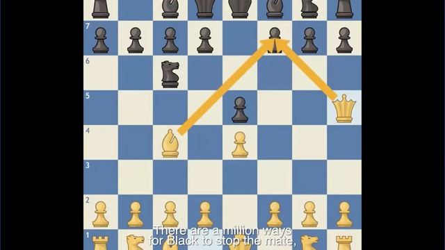 Chess Kid