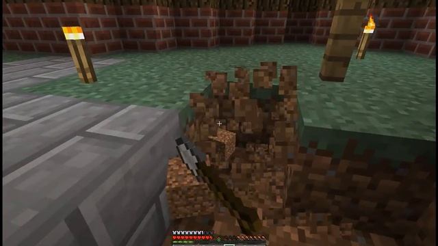 Мистер Стив и minecraft #8- Подчеркиваем внешность дома смотреть онлайн