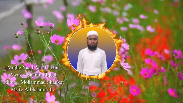 Mujhe yaad aaraha hai tera pak Astana very beautiful kalam by shamim iqbal|Ms.tv |all islamic progr смотреть онлайн