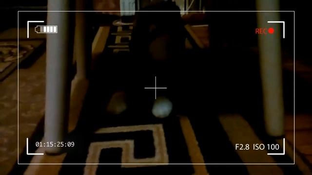 Пять ночей у медведя 2. Ночь 1 смотреть онлайн