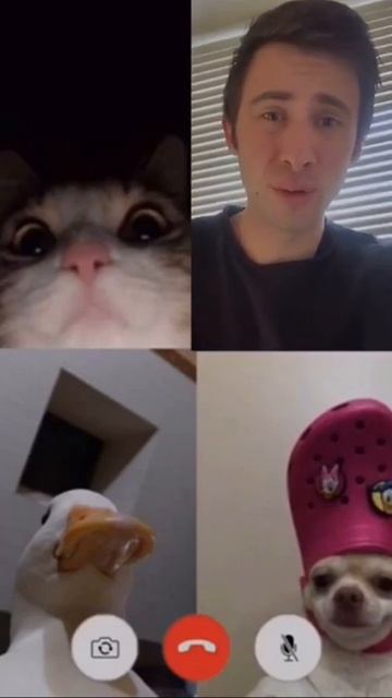 Суета на районе🙀 смотреть онлайн