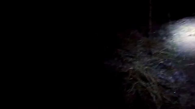 #4 Осень. Налим! Ставлю, проверяю закидушки-поставушки смотреть онлайн
