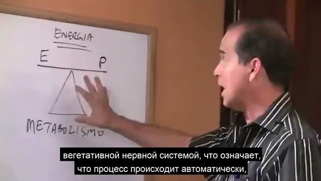#338 Бобовые смотреть онлайн