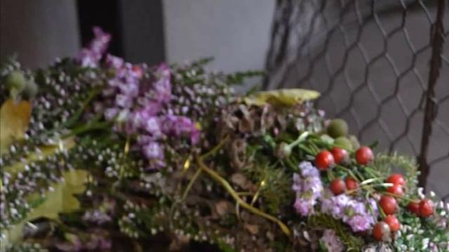 Птаха Браха смотреть онлайн