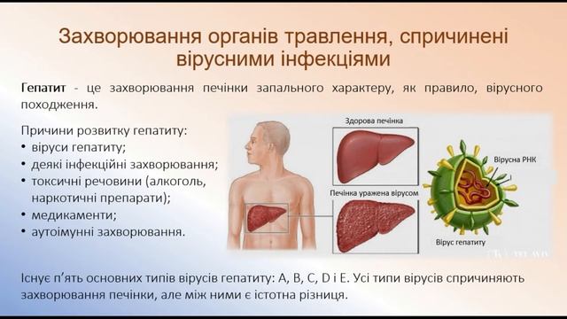 Біологія людини. Захворювання органів травлення смотреть онлайн