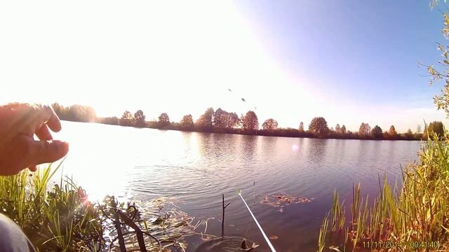 Осенний карась, последний день отпуска.