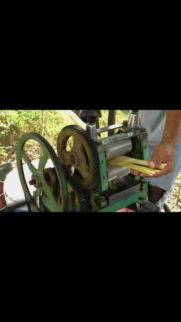 Sugarcane Juice (Ganne ka Ras) in Hindi#shorts смотреть онлайн