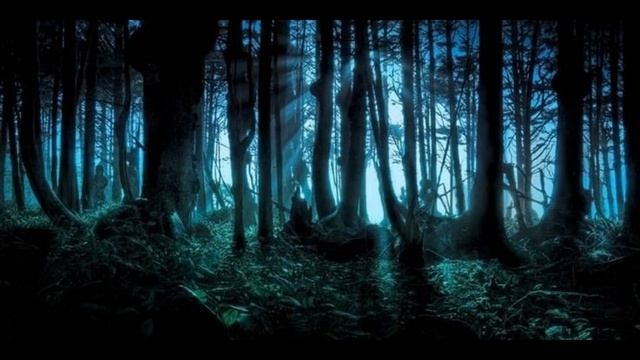Hogwarts: Gloria de Sangre pura Capítulo 65-72 - Fanfic de Harry Potter смотреть онлайн