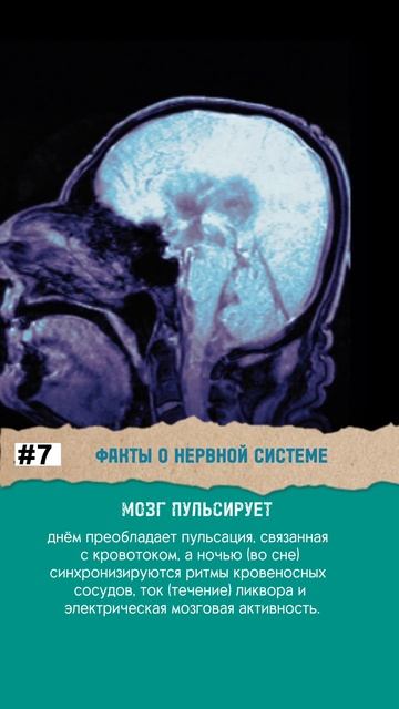 Мозг пульсирует смотреть онлайн