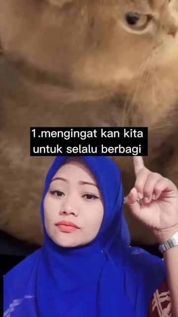 manfaat memelihara kucing смотреть онлайн