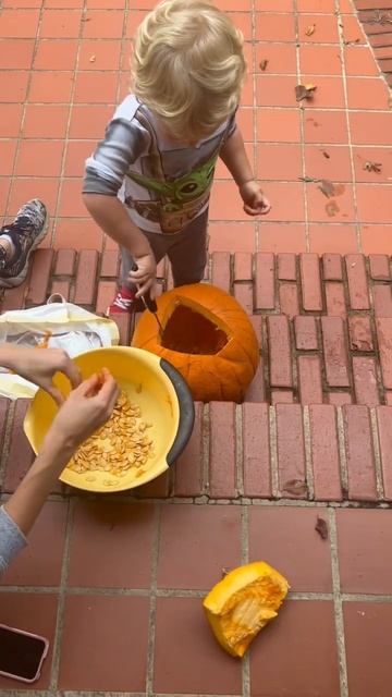Kids scooping pumpkin seeds! смотреть онлайн