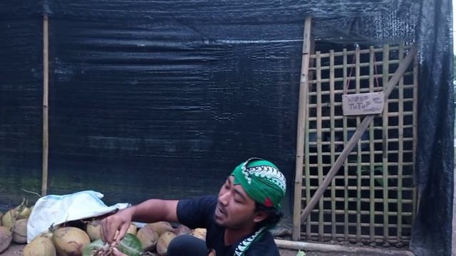 CUCI GUDANG AGLONEMA INDUKAN BAWA ANAK MURAH MERIAH смотреть онлайн