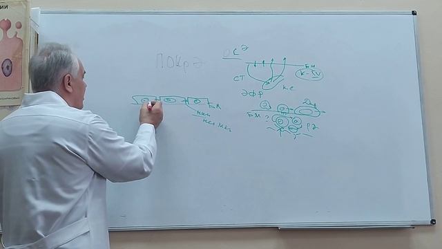 Эпителий часть 3 проф. Баринов Э.Ф. смотреть онлайн