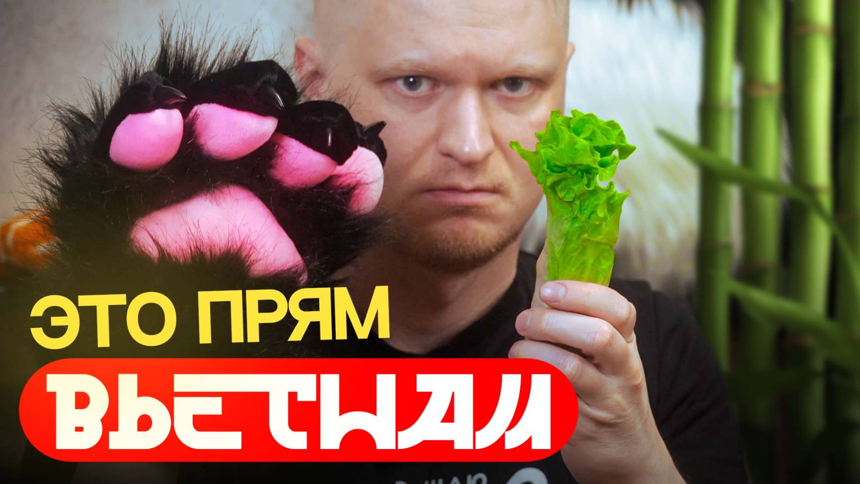 Сколько должен стоить фо-бо? Мадам Ви. Славный Обзор смотреть онлайн