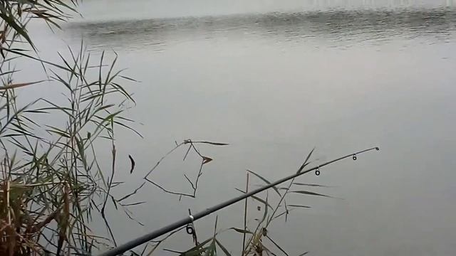 DJ Snake Hardcore Gaduka смотреть онлайн