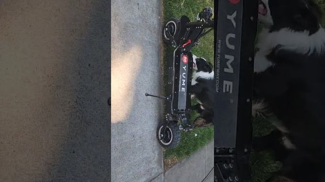 Yume X11, Y11 Comparison